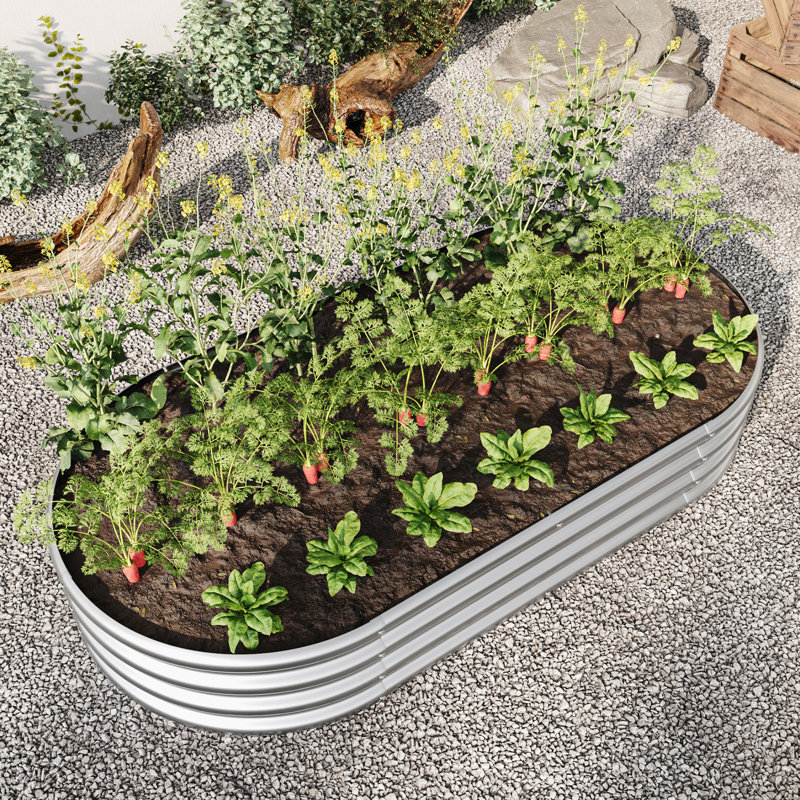 Lit pour jardin surélevé en métal Veranika, H 11,2 po x l 35,62 po x P 69,34 po, Argent argent