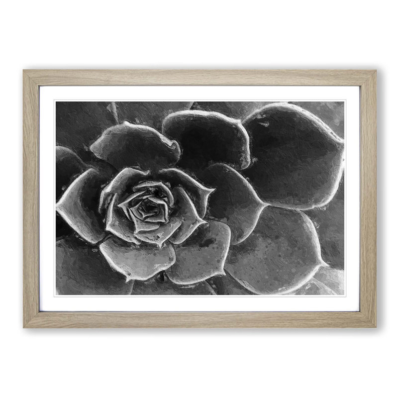 Succulent Plant - Picture Frame Painting Print, Oak Framed, 27cm H x 36cm W x 2cm D