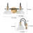 Mitchal 2-Light Dimmable Vanity Light