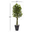 6.5ft. Ficus Artificial Tree with Slate Planter, UV Resistant (Indoor/Outdoor)