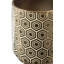 Cervantez Ceramic Pot Planter
