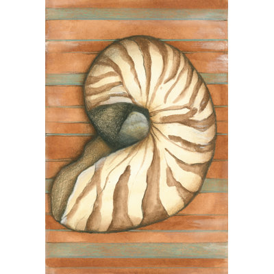 Shell On Stripes IV 1 Piece Wrapped Canvas Painting