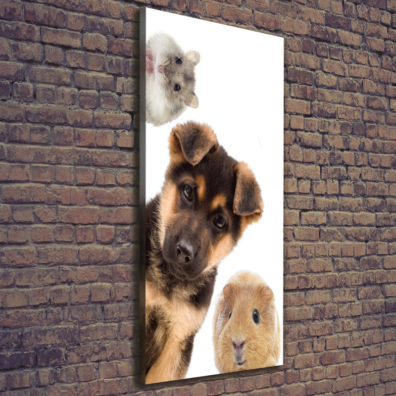 Pets - Wrapped Canvas Print