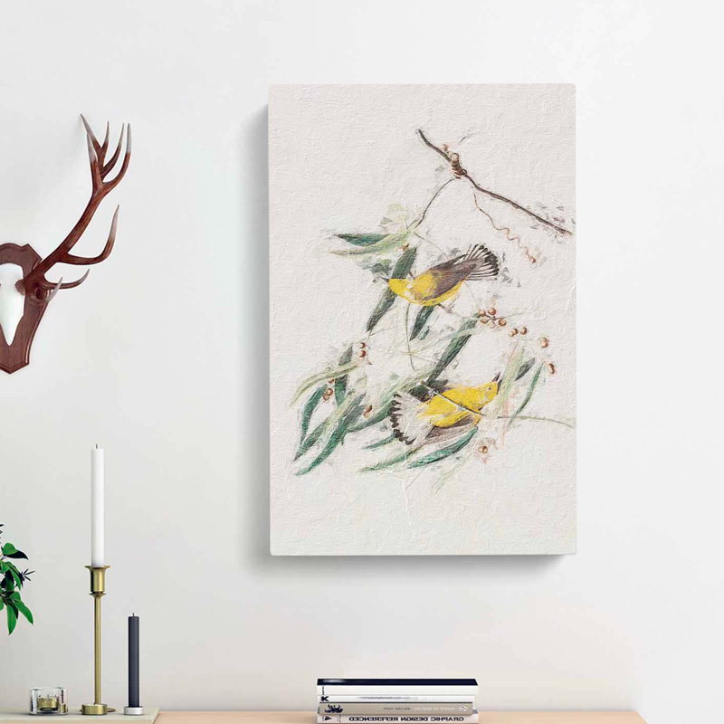 Prothonotary Warbler Birds by John Audubon - Wrapped Canvas, 76cm H x 50cm W x 3cm D