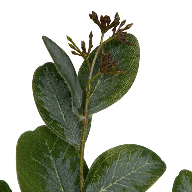 Seeded Eucalyptus Leaves Artificial Sprays - 33" - Green - Set Of 6