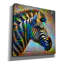Epic Graffiti 'Zebra'  by Pedro Gavidia Canvas Wall Art, 26" x 26"-117540709