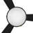 Burghard 50'' Ceiling Fan with LED Lights-945142050