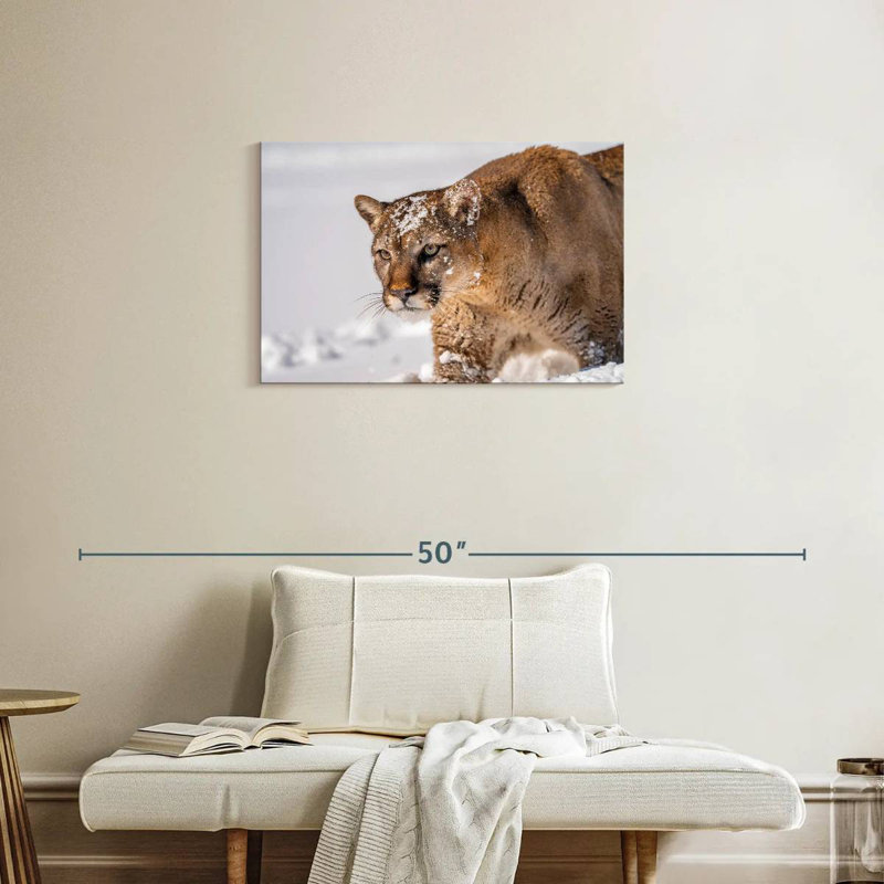 Ronce de lions en hiver, H 20 po x l 30 po