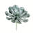 Succulent Arrangement