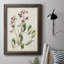 Antique Botanical Collection I, toile encadrée de qualité supérieure - prête à être accrochée-73982979
