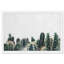 Photographie de cactus vert - cadre photo-68785446-68785447
