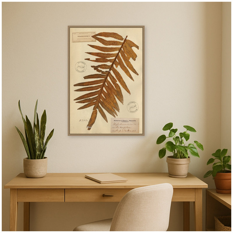 «Vintage Botanical PDXC24438b» par Corinna Buchholz of Piddix, reproduction d'art sur toile encadrée