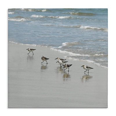 «Au-403», toile «Sandpipers on Shore Reflection on Canvas» par Natalie Carpentieri, peinture