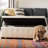 Kenlea Faux Leather Upholstered Storage Bench-21279762
