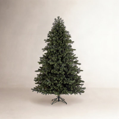 Douglas Fir Christmas Tree