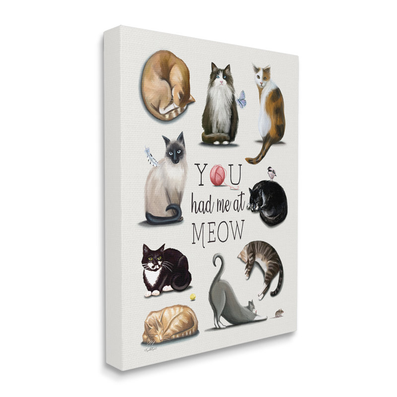 «You Had Me at Meow Cat Pet» par Elizabeth Tyndall - impression sur toile tendue, H 30 po x l 24 po x P 1,5 po
