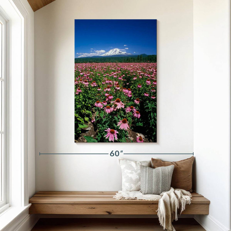 Harnek Echinacea Field, 48" H x 32" W