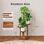 Plant Stand