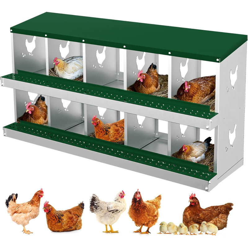 10 Compartments Metal Chicken Nesting Boxes, Nesting Boxes, Chicken Laying Box With Roll Out Egg Collection With Vented Holes
