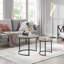 Metal Frame Coffee Table, Round Nesting Table Set-18111832