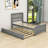 Comyns Twin Platform Bed with Trundle-1593271466