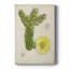 Antique Cactus I - impression sur toile tendue-449653782
