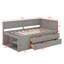 Lit de jour avec tiroirs et tablettes-1183420140-1183420142