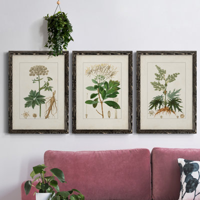 " Antique Turpin Botanical I " 2 - Pieces Painting Print