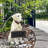 Animals Plastic Garden Statue
