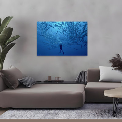 Underwater Barracuda Swirl Contemporary Fish Nature Ocean Wall Art Print
