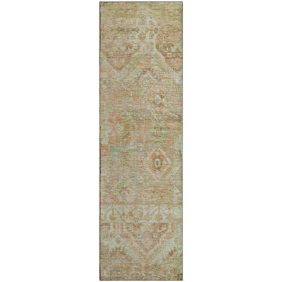 Premium Machine Washable Varasteh AMF1664 Global Rug