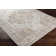 Emmert Oriental Indoor Rug