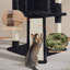Arbre à chat 42 po pour petits et moyens chats Davalos-1885119494