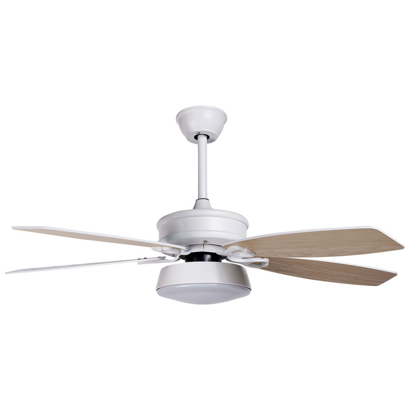 Asimakis 110cm Ceiling Fan with LED Lights