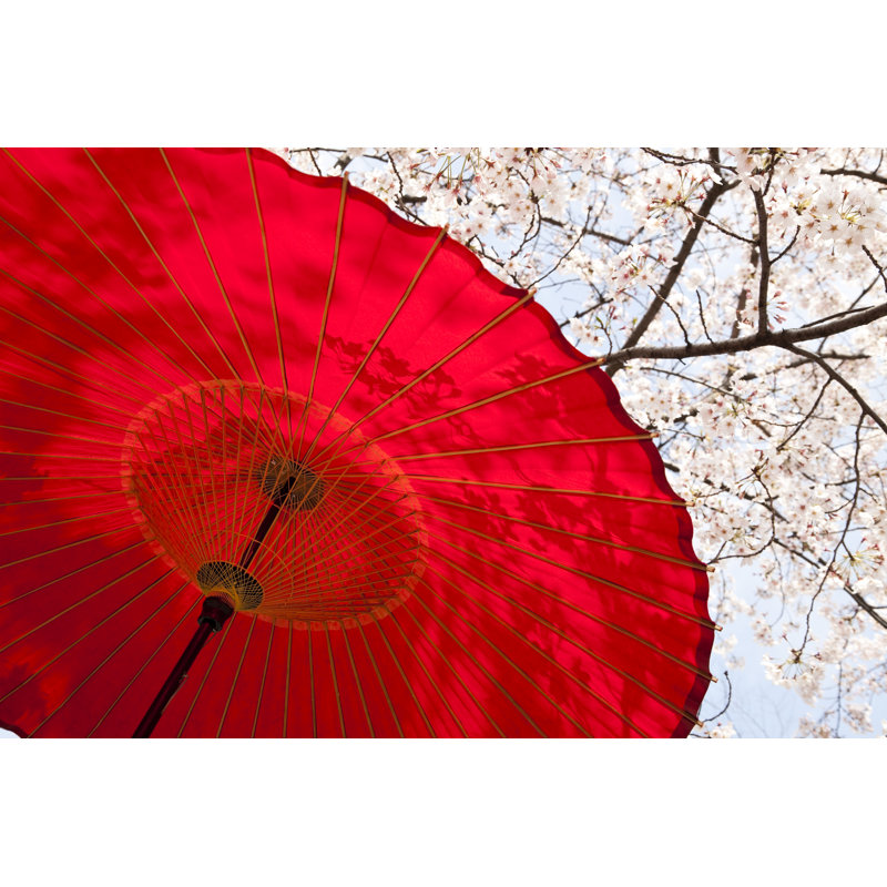 Japanese Umbrella by Ooyoo - Wrapped Canvas Print, 61cm H x 91cm W
