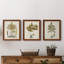 Fern Botanical I - Ensemble de 3 peintures sur toiles encadrées-772660934-772660936