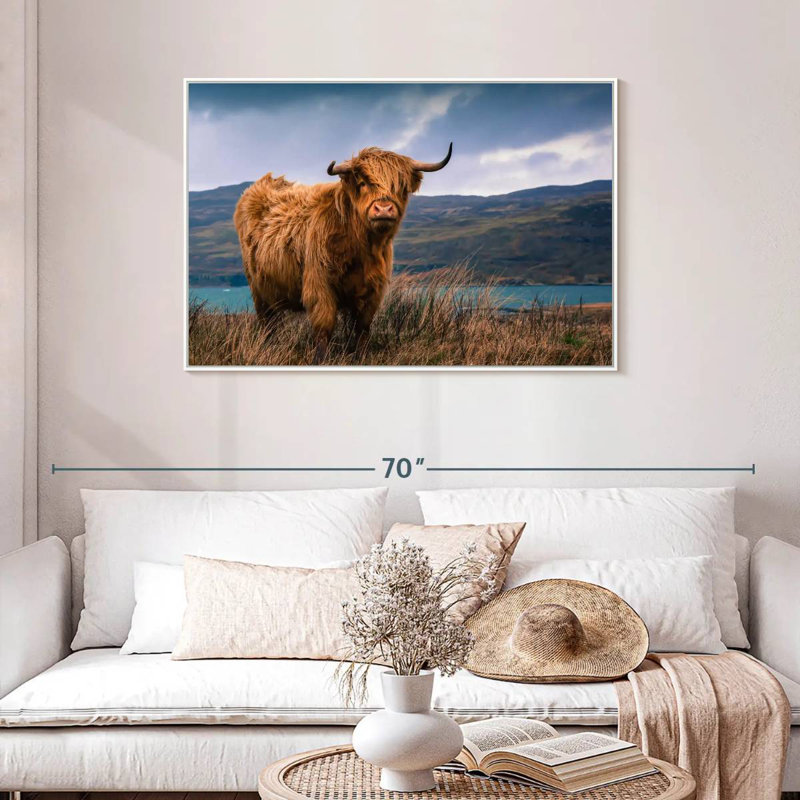 Grande vache Highland, Cadre flottant blanc, 43 po x 29 po