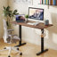 48" x 24" Sit to Stand Desk with 3 Memory Settings & Anti-Collision Protection Brown