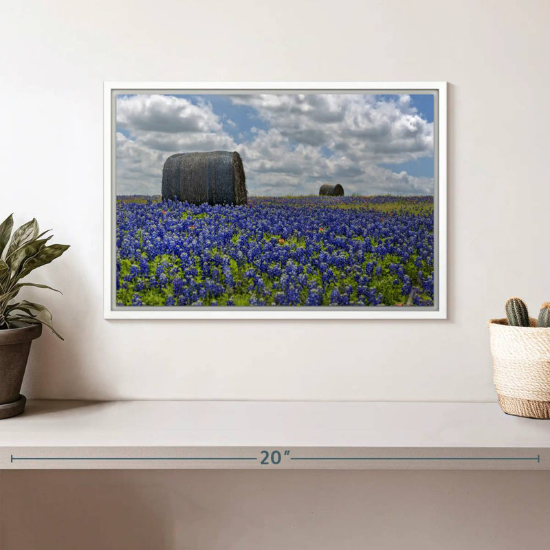 Texas Bluebonnets, Cadre flottant blanc, 13 po x 9 po