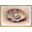 Perle en coquillage, élégantes photos de salon de nature morte côtière, impression sur toile encadrée-126136825-126136831