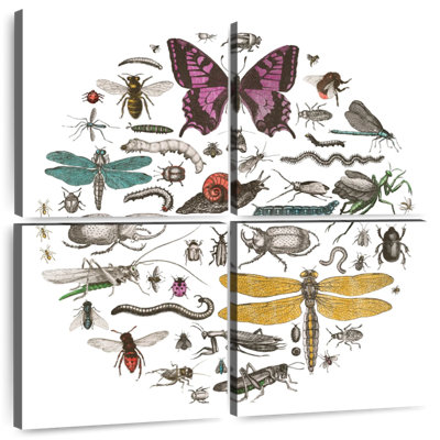 Brampt Insect Circle II Bright