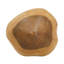 Décoration décorative champignon en bois de teck brun-2130979967