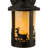 Rustic Lodge Solid Brass Armed Sconce