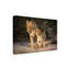 Art sur toile «bolologic heather bonadio»-109334949
