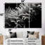 Noir et blanc «Anemoner Color Photo I - Coastal Coral Under Water», ensemble d'art mural-107735164-107735166