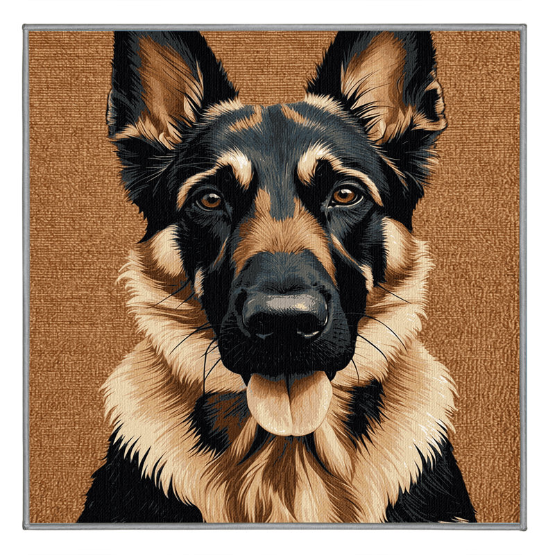  Tapis lavable pour chiens belges Malinois, Rond 5 pi