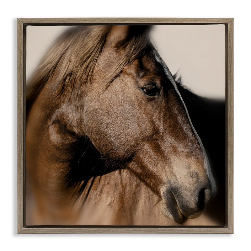 Gros plan d'un élégant cheval brun, H 18 po x l 18 po, Cadre flottant orme Montalcino