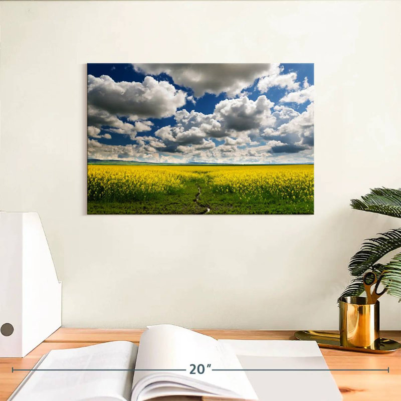 Alvord Clouds Over Fields