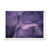 White Picture Framed