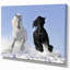 «Farmhouse White and Black Horse», reproduction de photo sur toile tendue-29491763